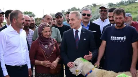 Nevşehir'de Hayvancılığa Büyük Destek: 100 Damızlık Koç Üreticilere Dağıtıldı