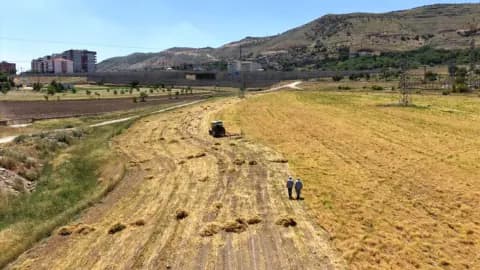 Gercüş'te Kuraklık Bitti, Bereket Geldi: Mercimek Rekoltesinde Büyük Artış