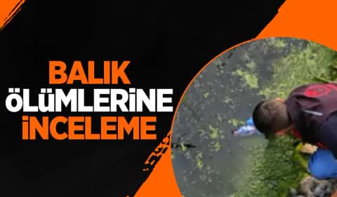 Acarlar Longozu'nda Toplu Balık Ölümleri: İnceleme Başlatıldı