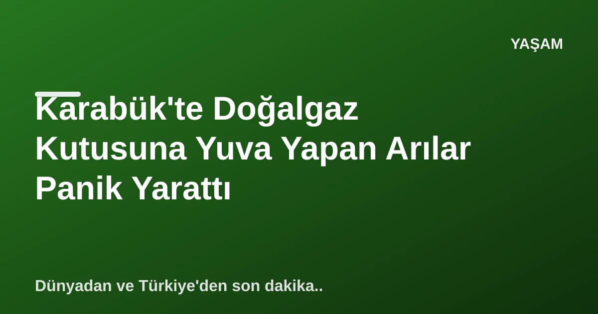Karabük'te Doğalgaz Kutusuna Yuva Yapan Arılar Panik Yarattı Karabük'te Doğalgaz Kutusuna Yuva Yapan Arılar Panik Yarattı