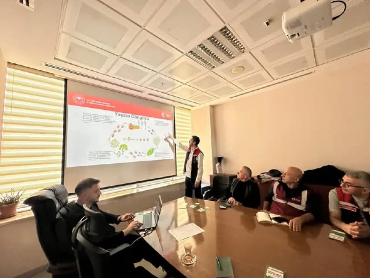 Kahverengi Kokarca ile Mücadele İçin İstanbul'da Bilgilendirme Toplantıları Yapıldı Kahverengi Kokarca ile Mücadele İçin İstanbul'da Bilgilendirme Toplantıları Yapıldı