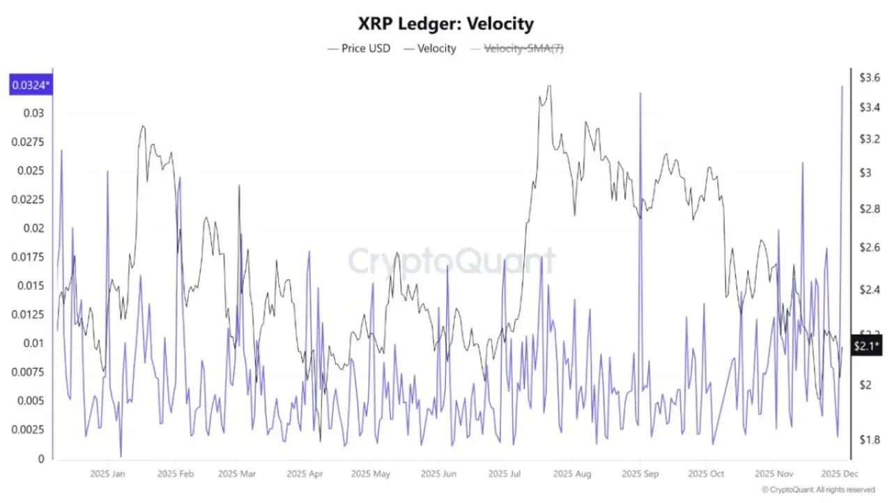XRP Ledger Dolaşım Hızı Yılın En Yüksek Seviyesine Ulaştı XRP Ledger Dolaşım Hızı Yılın En Yüksek Seviyesine Ulaştı