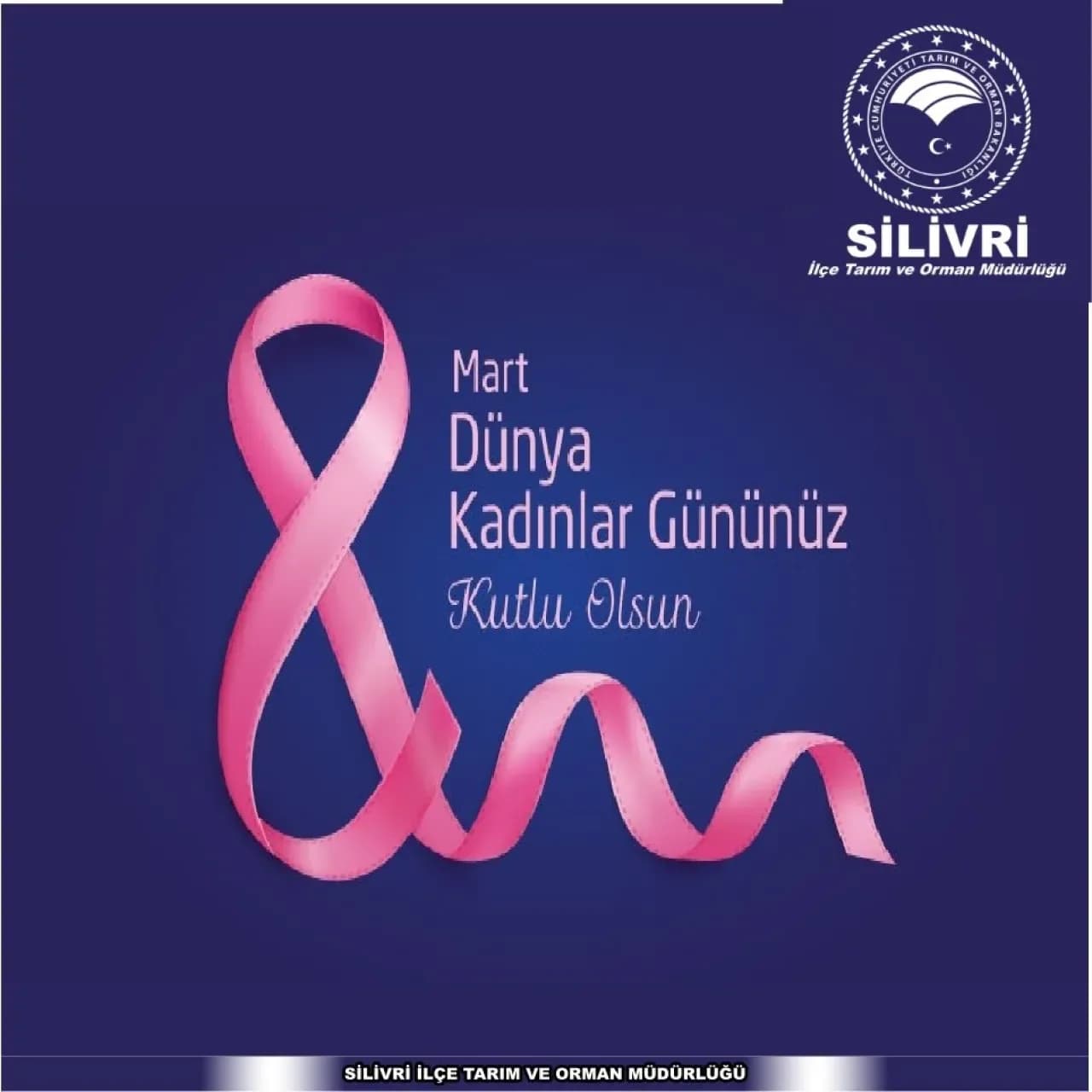 Silivri Tarım ve Orman Müdürlüğü'nden 8 Mart Mesajı: "Yarınların Mimarları" Silivri Tarım ve Orman Müdürlüğü'nden 8 Mart Mesajı: "Yarınların Mimarları"