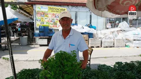Erzincan'da Sebze Fidesi Sezonu Kapanıyor: Son Alışverişler Başladı Erzincan'da Sebze Fidesi Sezonu Kapanıyor: Son Alışverişler Başladı