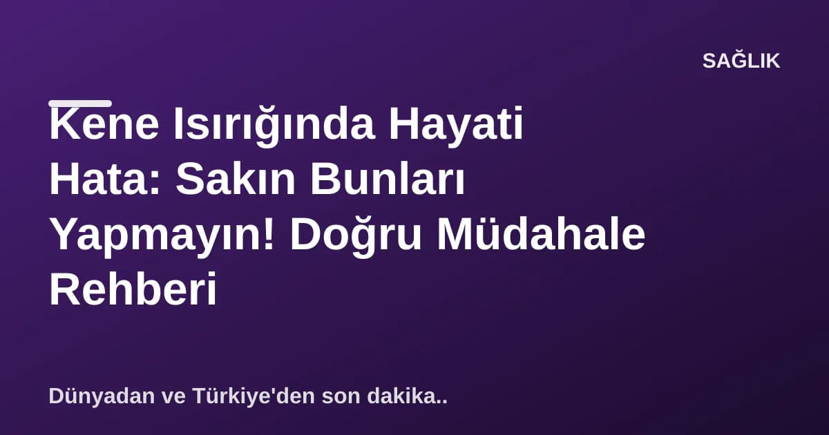 Kene Isırığında Hayati Hata: Sakın Bunları Yapmayın! Doğru Müdahale Rehberi Kene Isırığında Hayati Hata: Sakın Bunları Yapmayın! Doğru Müdahale Rehberi