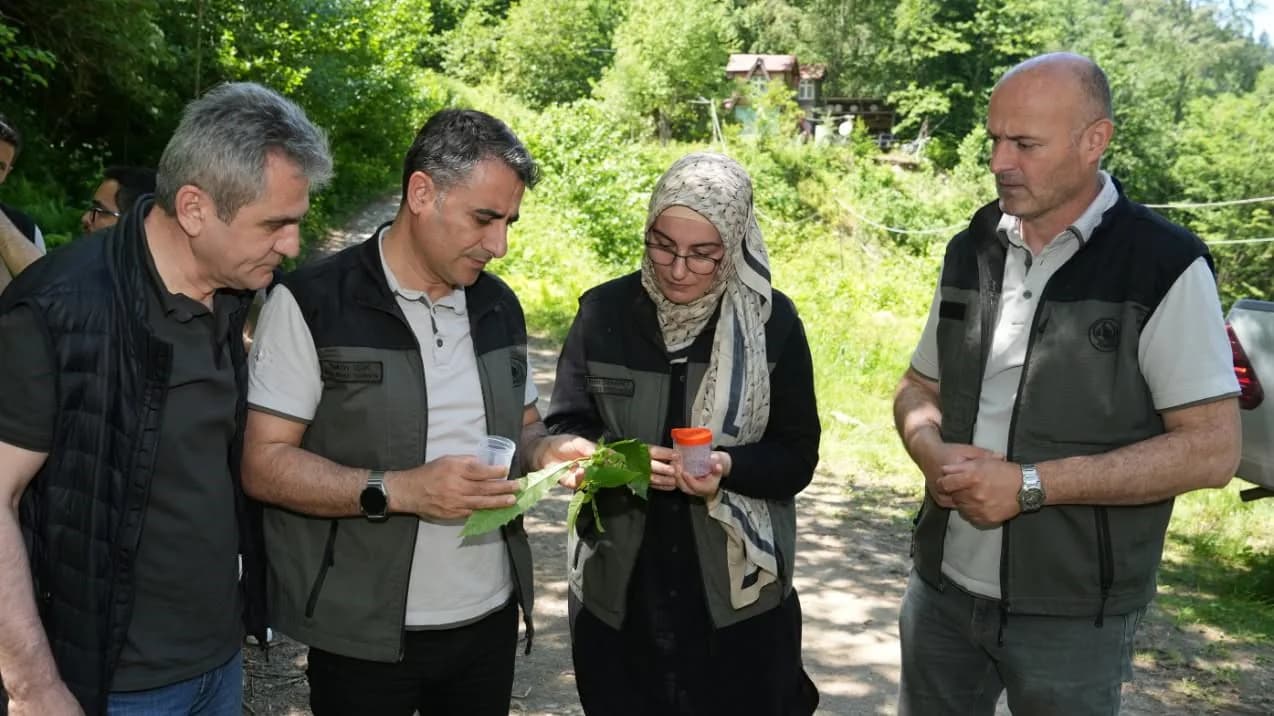 Artvin'de Kestane Ormanlarına 'Samuray' Kalkanı: 5 Bin Arı Doğaya Salındı Artvin'de Kestane Ormanlarına 'Samuray' Kalkanı: 5 Bin Arı Doğaya Salındı