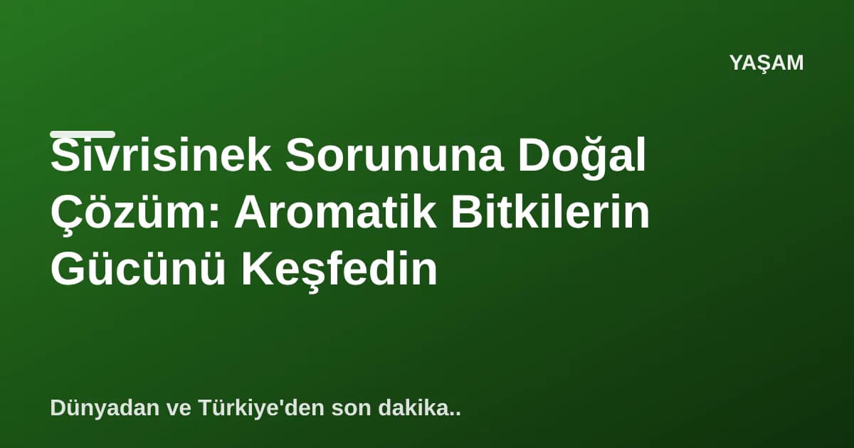 Sivrisinek Sorununa Doğal Çözüm: Aromatik Bitkilerin Gücünü Keşfedin Sivrisinek Sorununa Doğal Çözüm: Aromatik Bitkilerin Gücünü Keşfedin