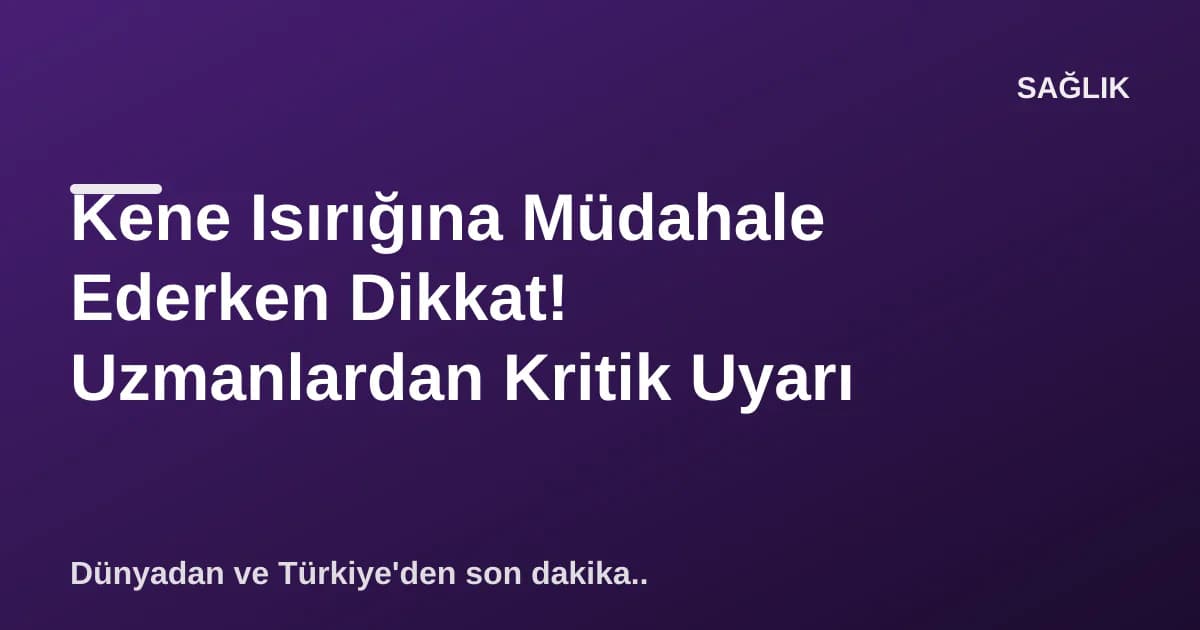 Kene Isırığına Müdahale Ederken Dikkat! Uzmanlardan Kritik Uyarı Kene Isırığına Müdahale Ederken Dikkat! Uzmanlardan Kritik Uyarı