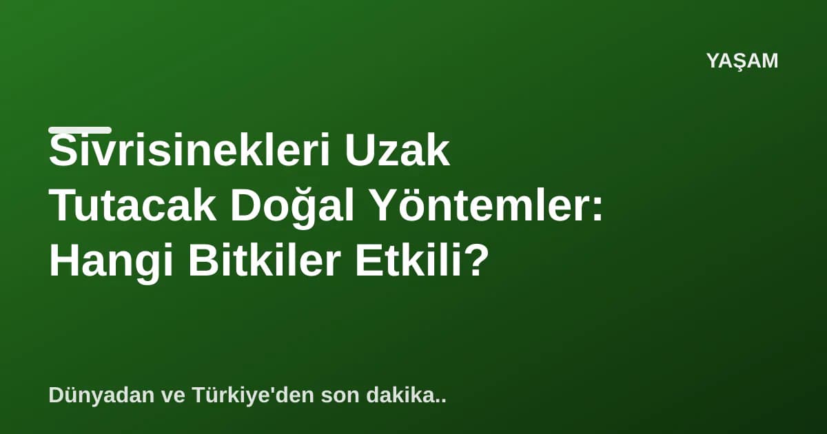 Sivrisinekleri Uzak Tutacak Doğal Yöntemler: Hangi Bitkiler Etkili? Sivrisinekleri Uzak Tutacak Doğal Yöntemler: Hangi Bitkiler Etkili?