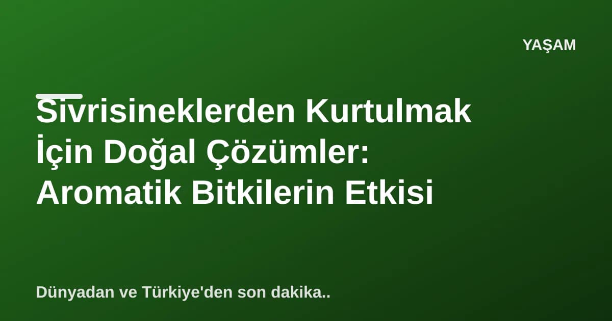 Sivrisineklerden Kurtulmak İçin Doğal Çözümler: Aromatik Bitkilerin Etkisi Sivrisineklerden Kurtulmak İçin Doğal Çözümler: Aromatik Bitkilerin Etkisi