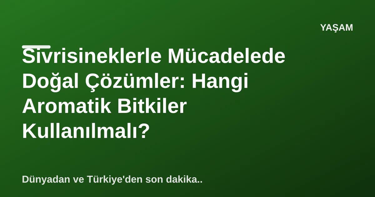 Sivrisineklerle Mücadelede Doğal Çözümler: Hangi Aromatik Bitkiler Kullanılmalı? Sivrisineklerle Mücadelede Doğal Çözümler: Hangi Aromatik Bitkiler Kullanılmalı?
