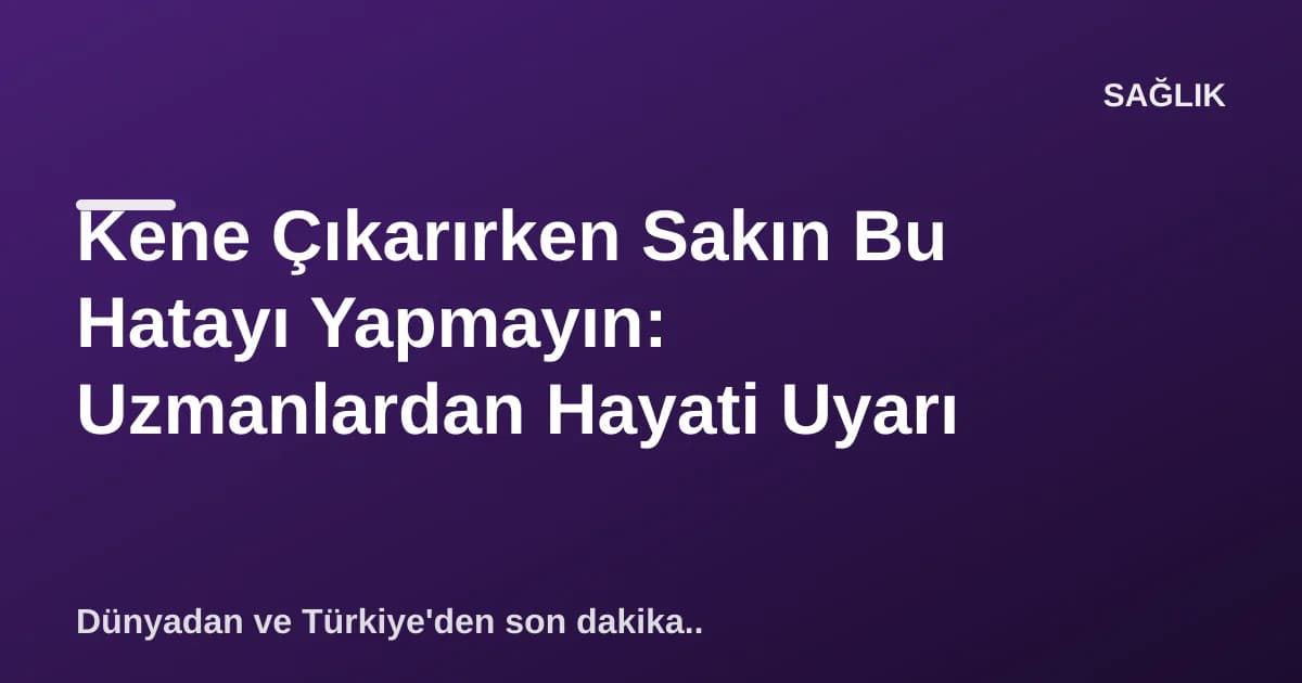 Kene Çıkarırken Sakın Bu Hatayı Yapmayın: Uzmanlardan Hayati Uyarı Kene Çıkarırken Sakın Bu Hatayı Yapmayın: Uzmanlardan Hayati Uyarı