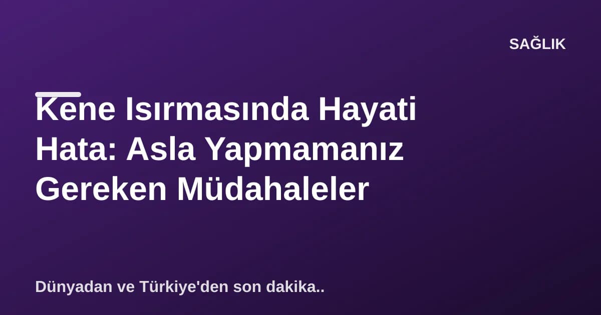 Kene Isırmasında Hayati Hata: Asla Yapmamanız Gereken Müdahaleler Kene Isırmasında Hayati Hata: Asla Yapmamanız Gereken Müdahaleler