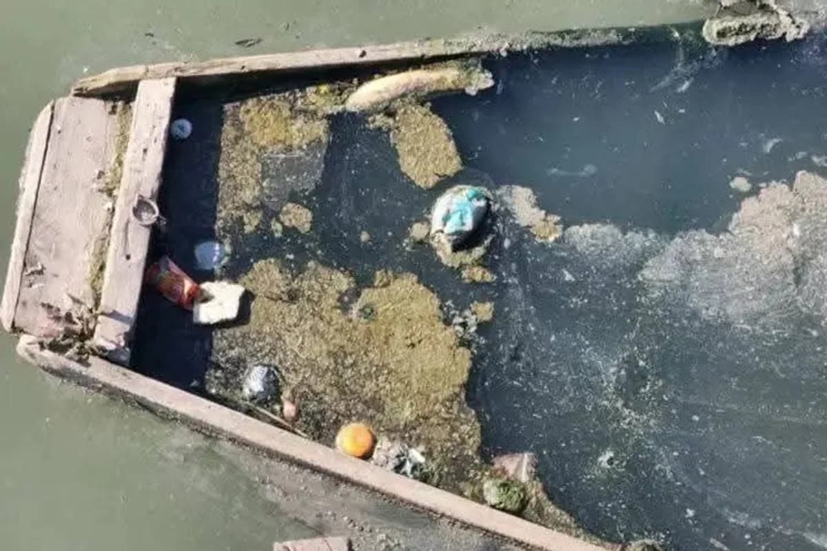 Gemlik Sahillerinde Müsilaj Alarmı: Kumla ve Karacaali'de Deniz Salyası Yeniden Ortaya Çıktı Gemlik Sahillerinde Müsilaj Alarmı: Kumla ve Karacaali'de Deniz Salyası Yeniden Ortaya Çıktı