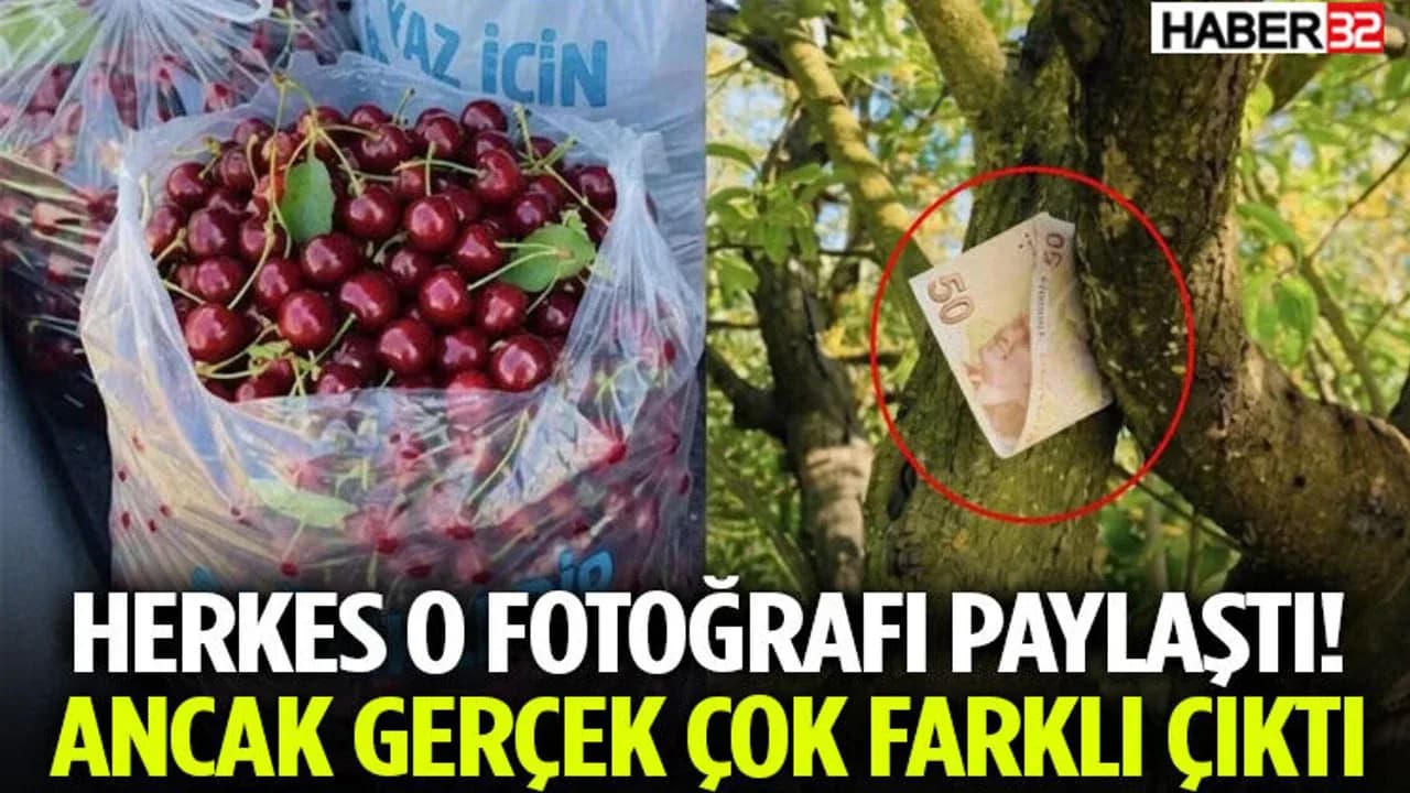 Sosyal Medyayı Sallayan O Fotoğrafın Sırrı Çözüldü: Gerçek mi, Yapay Zeka mı? Sosyal Medyayı Sallayan O Fotoğrafın Sırrı Çözüldü: Gerçek mi, Yapay Zeka mı?