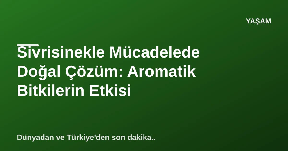 Sivrisinekle Mücadelede Doğal Çözüm: Aromatik Bitkilerin Etkisi Sivrisinekle Mücadelede Doğal Çözüm: Aromatik Bitkilerin Etkisi