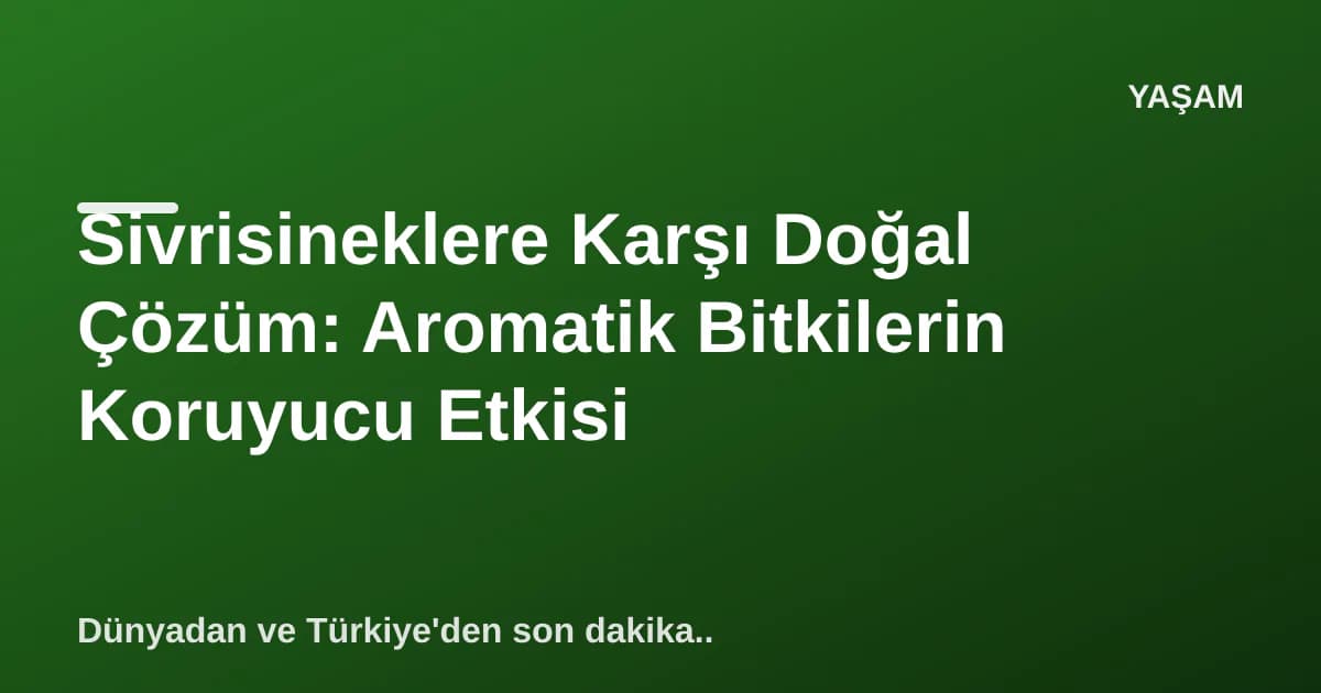 Sivrisineklere Karşı Doğal Çözüm: Aromatik Bitkilerin Koruyucu Etkisi Sivrisineklere Karşı Doğal Çözüm: Aromatik Bitkilerin Koruyucu Etkisi