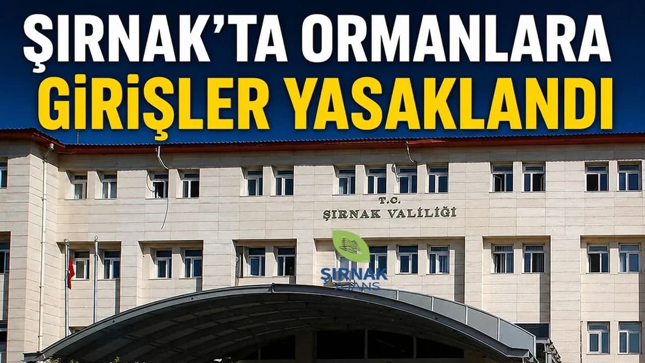 Şırnak'ta Ormanlara Giriş ve Ateş Yakma Yasaklandı: İşte Detaylar Şırnak'ta Ormanlara Giriş ve Ateş Yakma Yasaklandı: İşte Detaylar