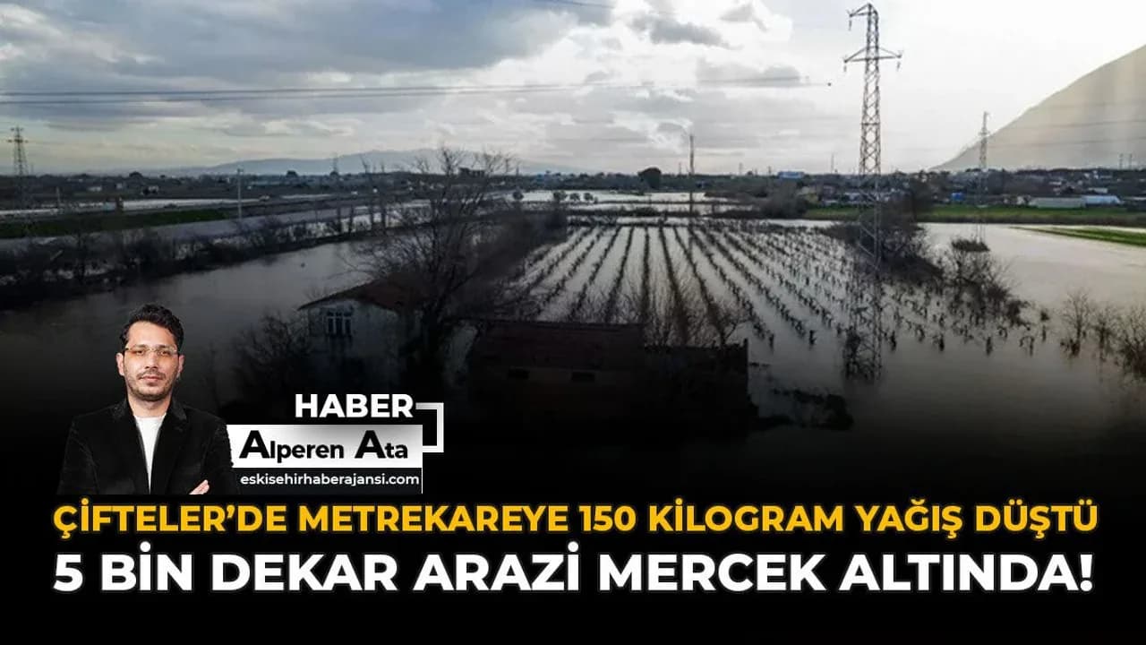 Eskişehir Çifteler'de Tarım Alarmı: 5 Bin Dekarlık Alan Dolu Hasarında Eskişehir Çifteler'de Tarım Alarmı: 5 Bin Dekarlık Alan Dolu Hasarında