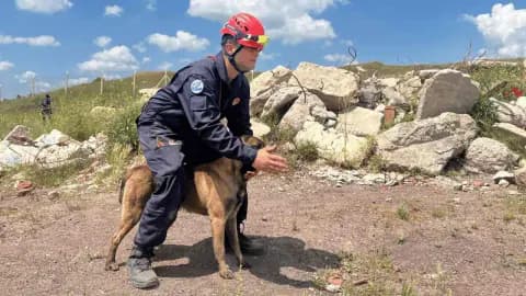 Teknolojinin Yetmediği Yerde Onlar Devreye Giriyor: Eskişehir'in Kahraman Köpekleri Teknolojinin Yetmediği Yerde Onlar Devreye Giriyor: Eskişehir'in Kahraman Köpekleri