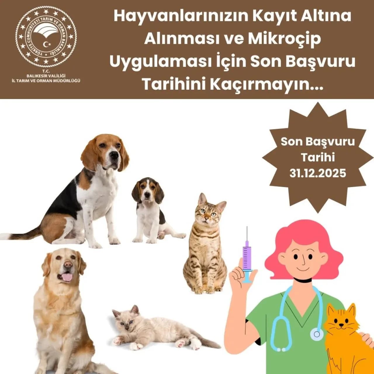 Balıkesir'de Evcil Hayvan Kimliklendirme İçin Son Tarih 31 Aralık 2025 Balıkesir'de Evcil Hayvan Kimliklendirme İçin Son Tarih 31 Aralık 2025