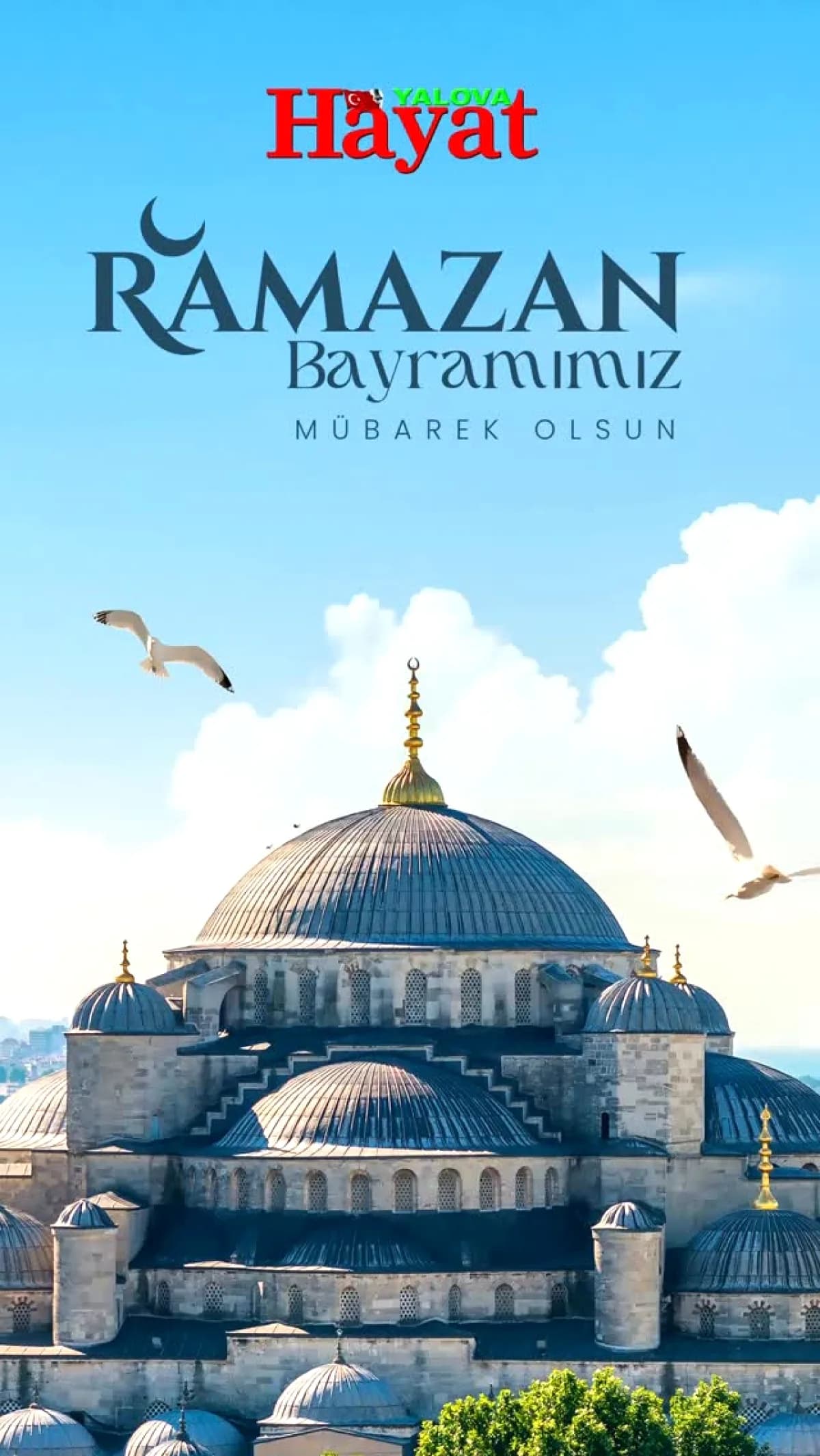 Yalova Hayat Gazetesi'nden Bayram Mesajı: Şeker Tadında Bir Kutlama Yalova Hayat Gazetesi'nden Bayram Mesajı: Şeker Tadında Bir Kutlama