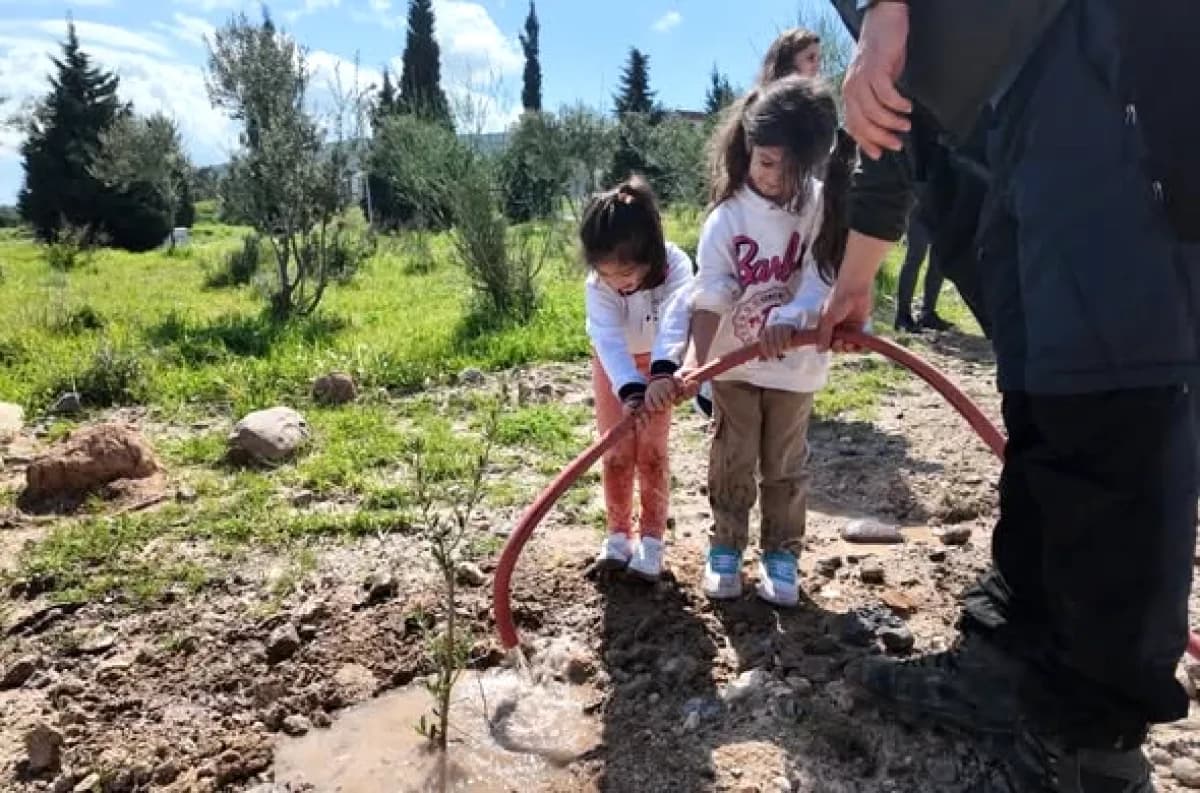 İzmir Yüksek Teknoloji Enstitüsü'nde Minik Eller Fidan Dikti İzmir Yüksek Teknoloji Enstitüsü'nde Minik Eller Fidan Dikti