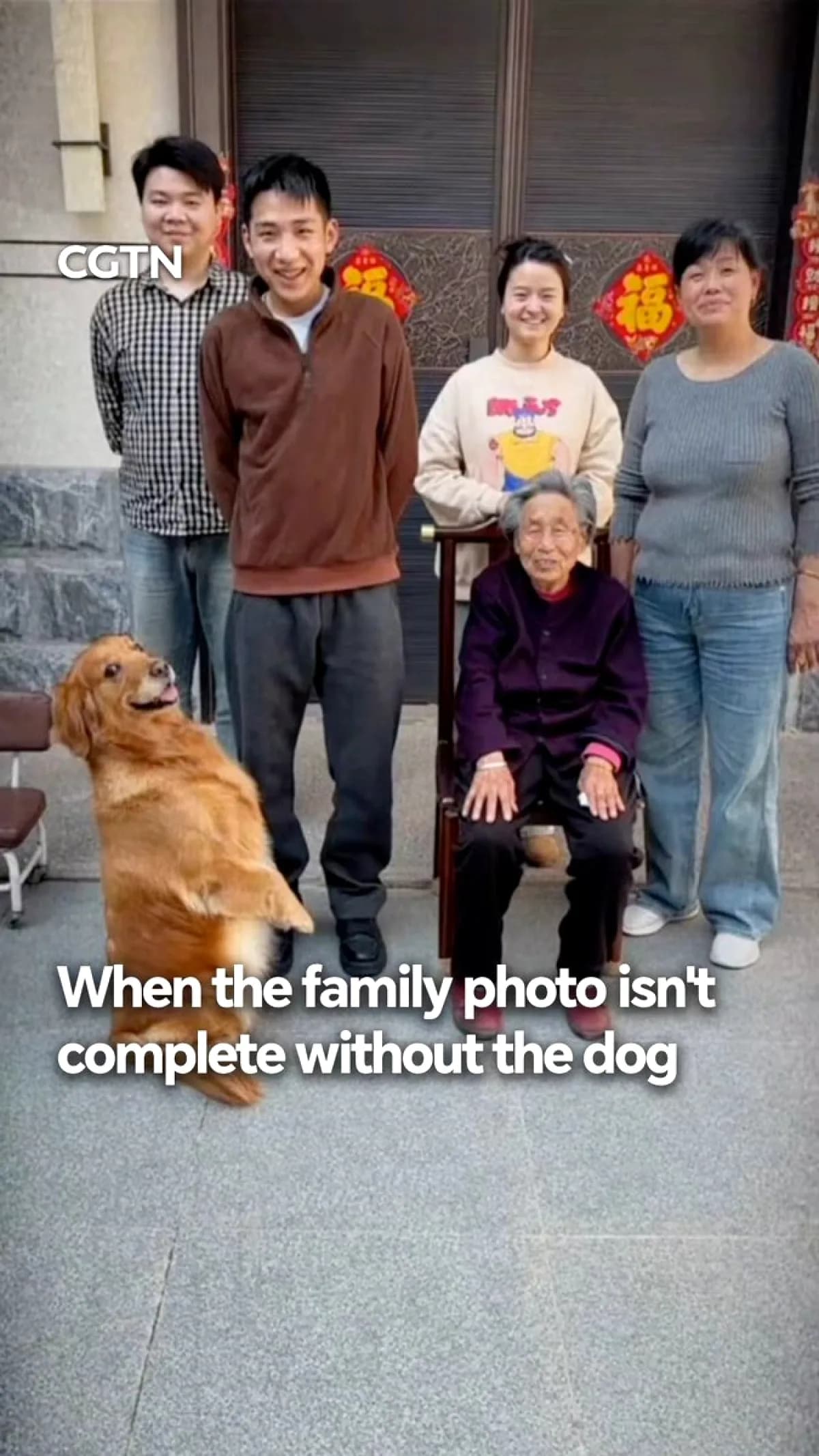 Çin'de Aile Fotoğrafına Poz Veren Köpek Viral Oldu Çin'de Aile Fotoğrafına Poz Veren Köpek Viral Oldu