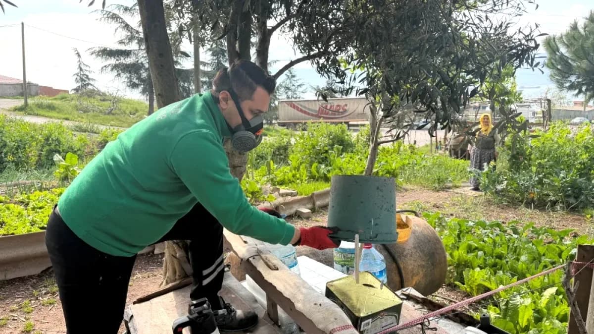 Kocaeli'de Sivrisinek İstilasına Karşı 100 Kişilik Özel Ekip Sahada Kocaeli'de Sivrisinek İstilasına Karşı 100 Kişilik Özel Ekip Sahada