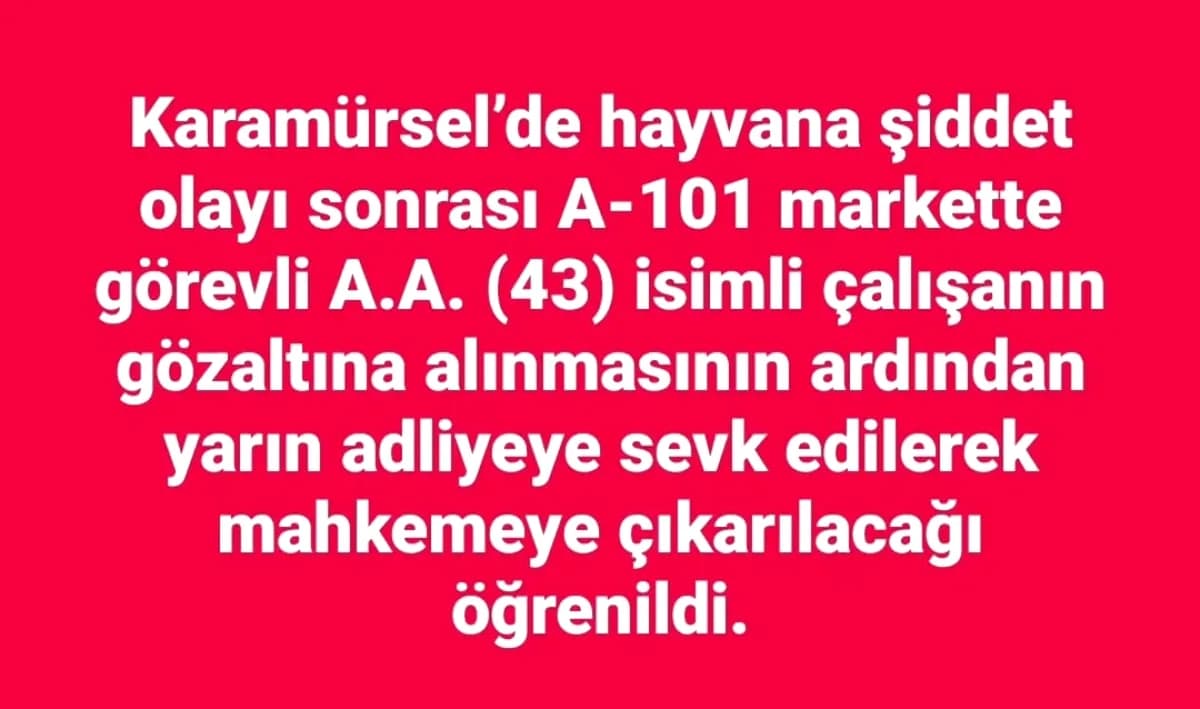 Karamürsel'de Hayvana Şiddet: A101 Çalışanı Gözaltında Karamürsel'de Hayvana Şiddet: A101 Çalışanı Gözaltında