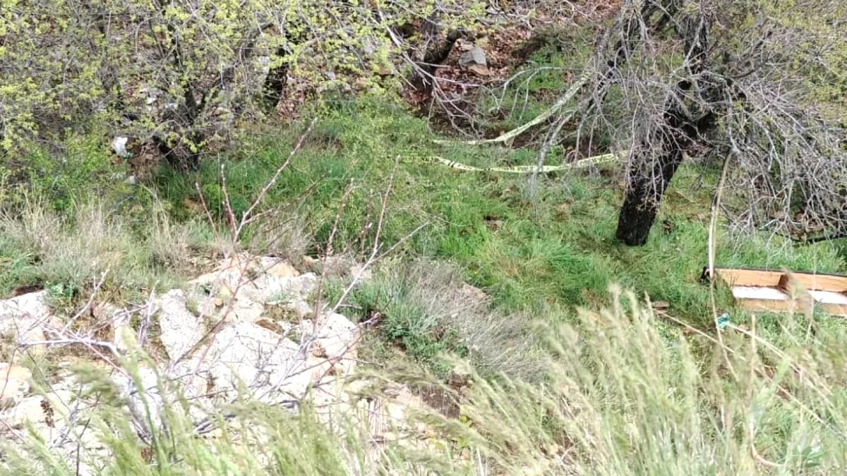 Isparta'da Tepeden Düşme: Gülhan Altunbaş Hayatını Kaybetti Isparta'da Tepeden Düşme: Gülhan Altunbaş Hayatını Kaybetti