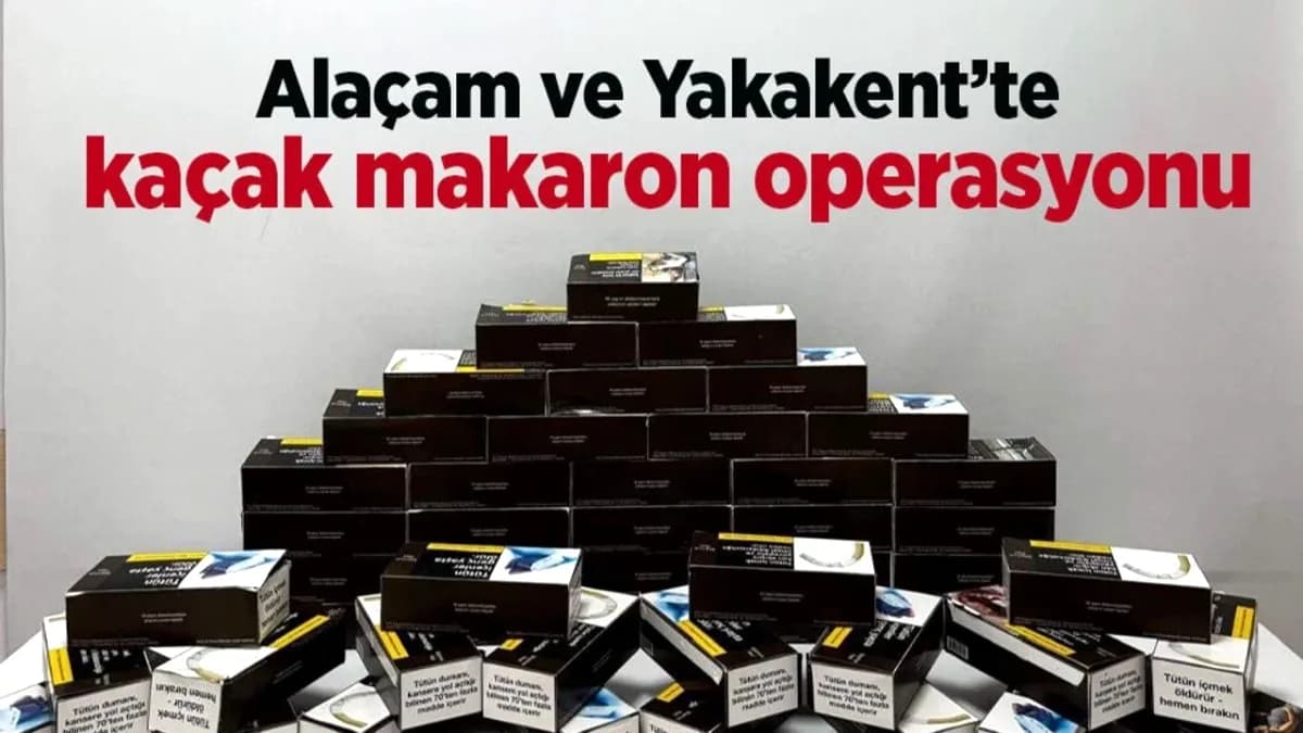 Samsun'da Kaçak Tütün Operasyonu: Alaçam ve Yakakent'te 20 Bin Makaron Sigara Ele Geçirildi Samsun'da Kaçak Tütün Operasyonu: Alaçam ve Yakakent'te 20 Bin Makaron Sigara Ele Geçirildi