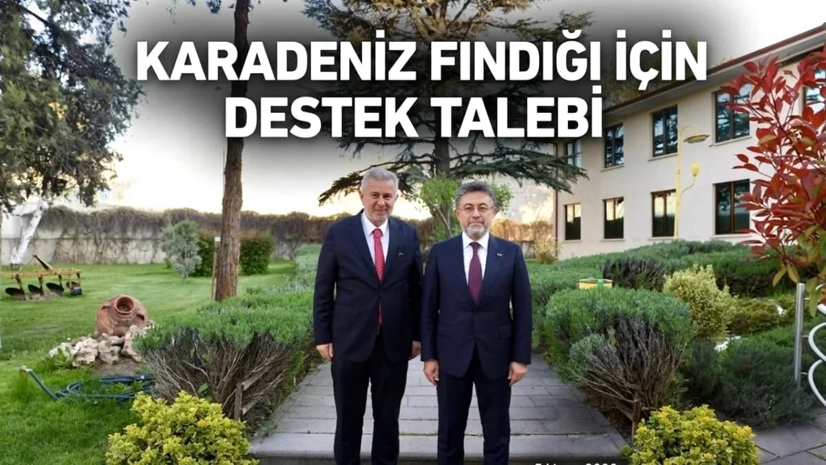 Fındık Üreticileri Bakan Yumaklı'dan Eğimli Arazi Desteği İstedi Fındık Üreticileri Bakan Yumaklı'dan Eğimli Arazi Desteği İstedi