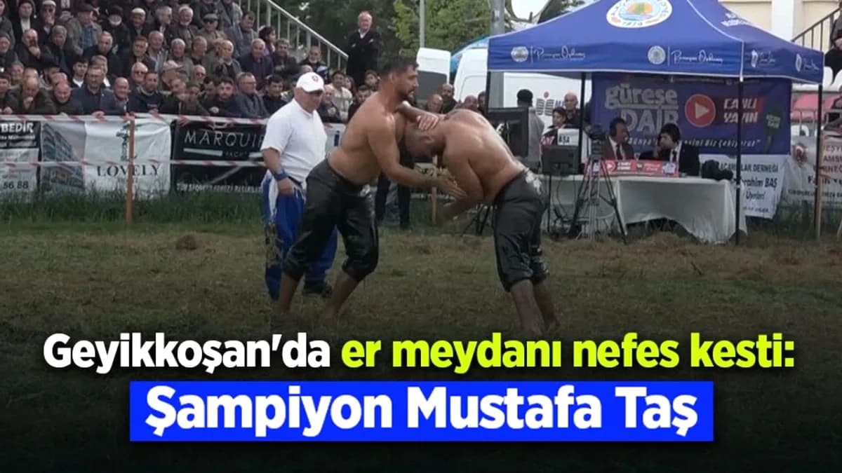 Alaçam'da Geyikkoşan Güreşleri Nefes Kesti: Başpehlivan Mustafa Taş Alaçam'da Geyikkoşan Güreşleri Nefes Kesti: Başpehlivan Mustafa Taş