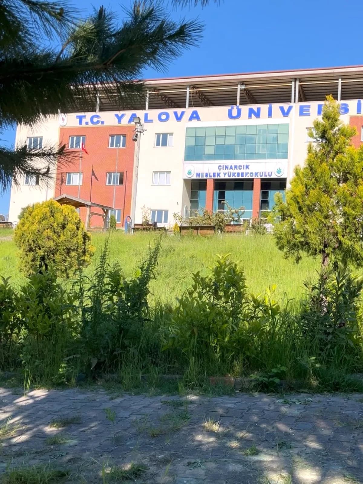 Yalova Üniversitesi Çınarcık MYO'da Öğrenci Kulübunden Sosyal Etkinlik Yalova Üniversitesi Çınarcık MYO'da Öğrenci Kulübunden Sosyal Etkinlik