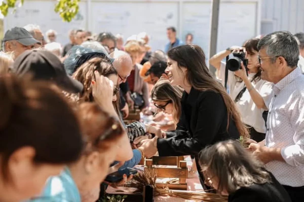 Çeşme'de Yerel Tohum Seferberliği: 80 Bin Fide Üreticiyle Buluştu Çeşme'de Yerel Tohum Seferberliği: 80 Bin Fide Üreticiyle Buluştu