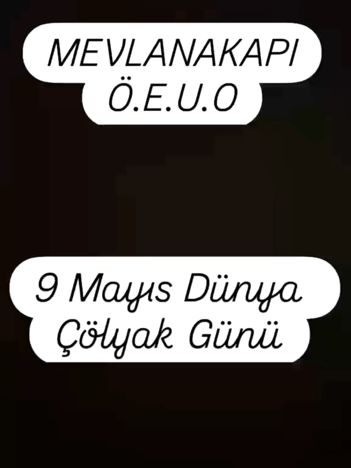 Fatih'te Öğrenciler Dünya Çölyak Günü'nde Farkındalık İçin Buluştu Fatih'te Öğrenciler Dünya Çölyak Günü'nde Farkındalık İçin Buluştu
