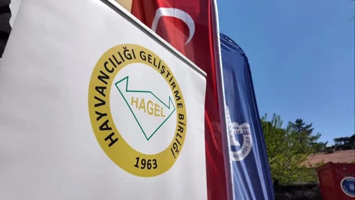 Yenişehir'de Üreticiye Tam Destek: Başkan Özel'ten Teşekkür Yenişehir'de Üreticiye Tam Destek: Başkan Özel'ten Teşekkür