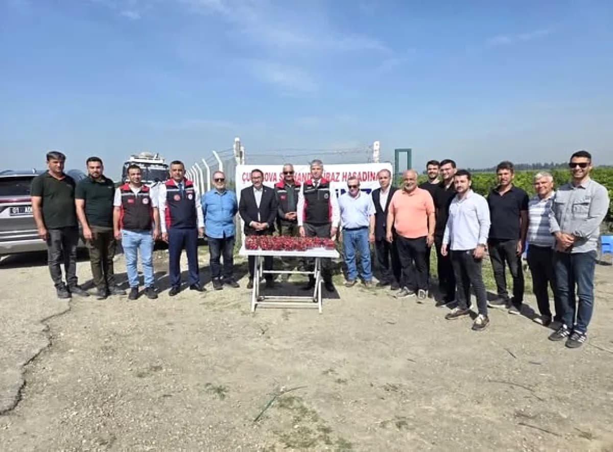 Adana'da İhracat Odaklı Kiraz Hasadı: İspanyol İş Birliği Adana'da İhracat Odaklı Kiraz Hasadı: İspanyol İş Birliği