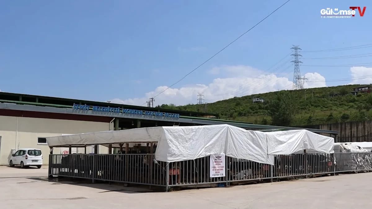 İzmit'te Kurban Bayramı Hazırlıkları Başladı: 16 Haziran Öncesi Sıkı Kontroller İzmit'te Kurban Bayramı Hazırlıkları Başladı: 16 Haziran Öncesi Sıkı Kontroller