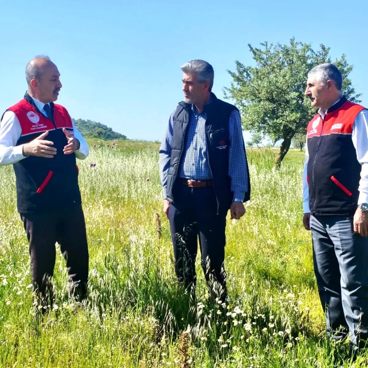 Balıkesir'de Mera Islahı Hayvancılığa Kaliteli Otlak Vaat Ediyor Balıkesir'de Mera Islahı Hayvancılığa Kaliteli Otlak Vaat Ediyor