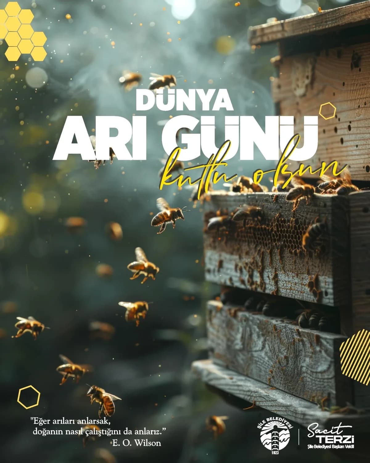 Dünya Arı Günü Kutlu Olsun: Şile'nin Kestane Balı ve Arıcılara Selam Dünya Arı Günü Kutlu Olsun: Şile'nin Kestane Balı ve Arıcılara Selam
