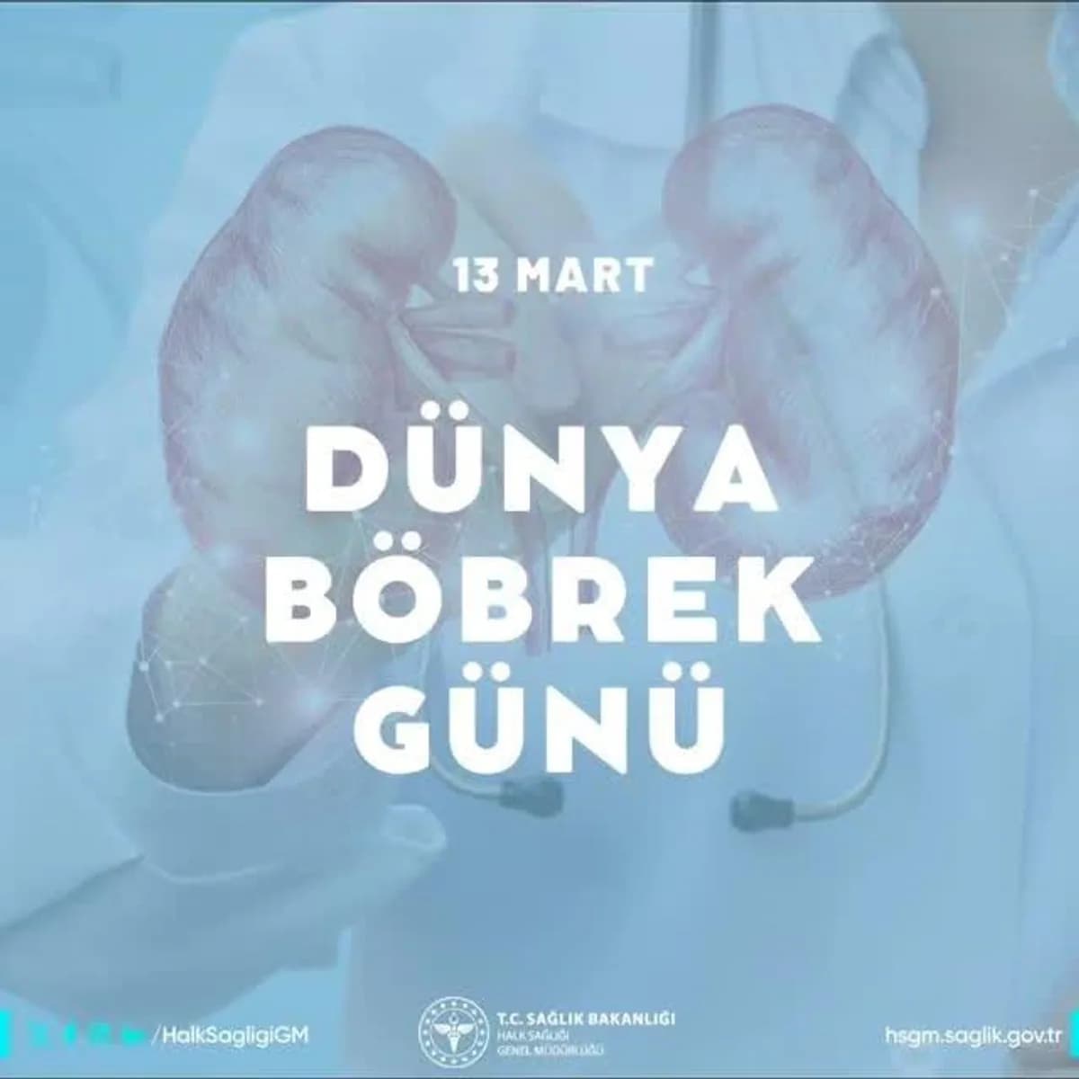 Böbrek Sağlığına Dikkat: Dünyada Milyonları Etkileyen Hastalıklar Böbrek Sağlığına Dikkat: Dünyada Milyonları Etkileyen Hastalıklar