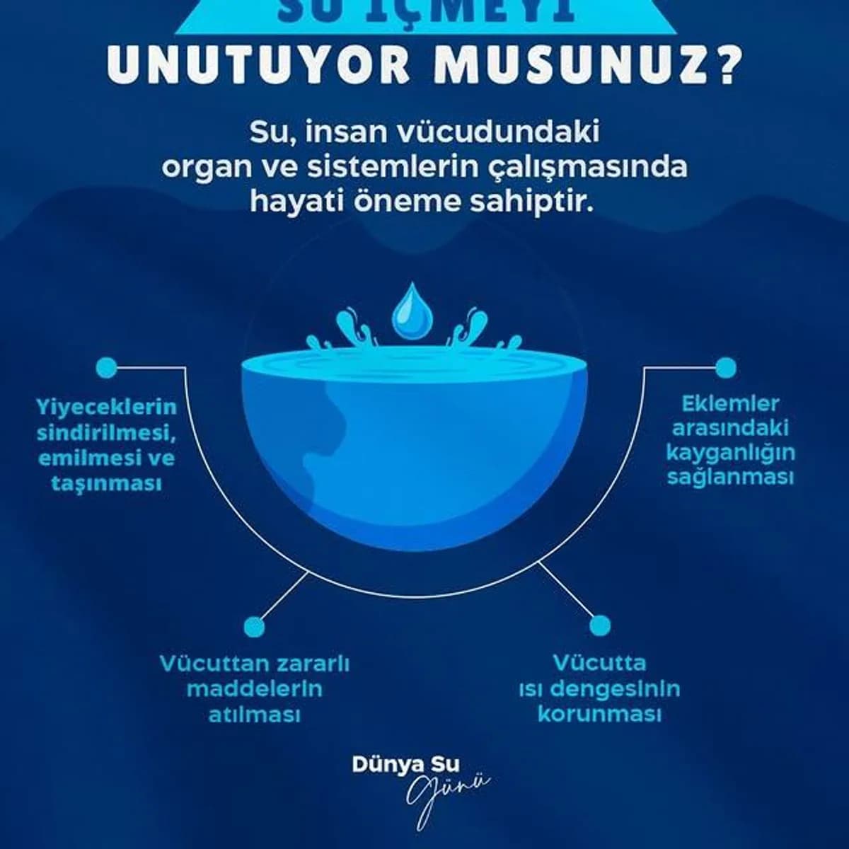 Dünya Su Günü: Hayatın Kaynağına Vurgu Dünya Su Günü: Hayatın Kaynağına Vurgu