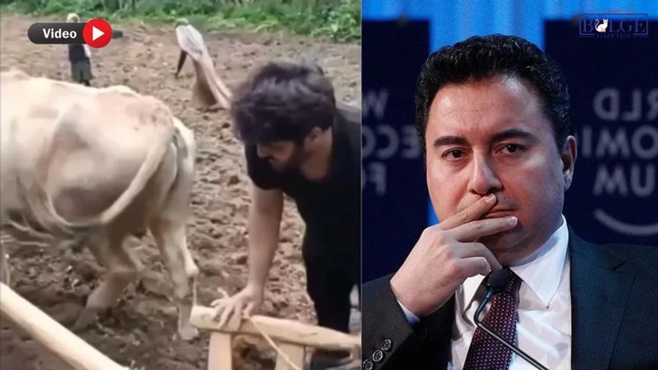 Ali Babacan'dan Karasaban Tepkisi: Çiftçiler Neden Eski Yöntemlere Döndü? Ali Babacan'dan Karasaban Tepkisi: Çiftçiler Neden Eski Yöntemlere Döndü?