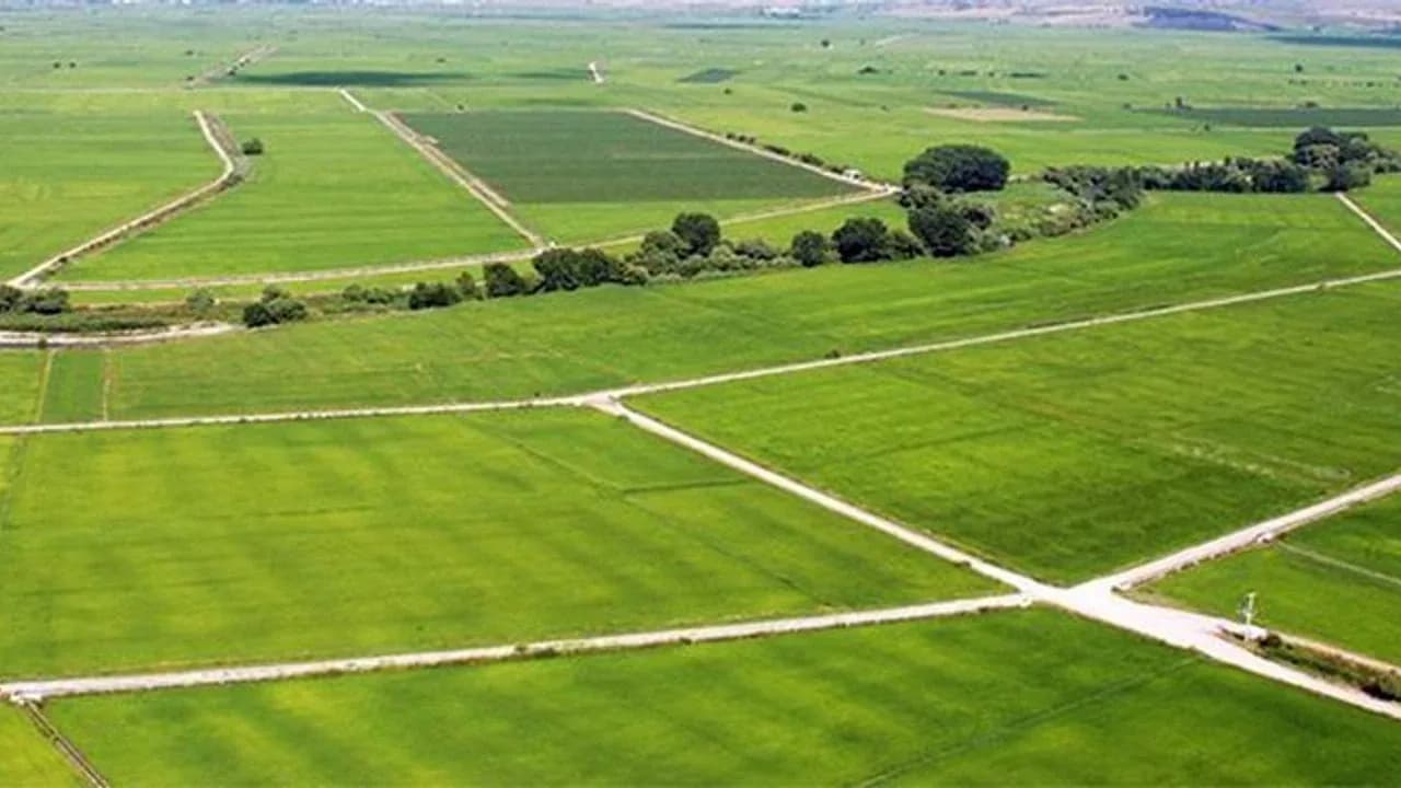 Isparta Yayla Mahallesi'nde İmarı Olan Arsa Satışa Çıkıyor Isparta Yayla Mahallesi'nde İmarı Olan Arsa Satışa Çıkıyor