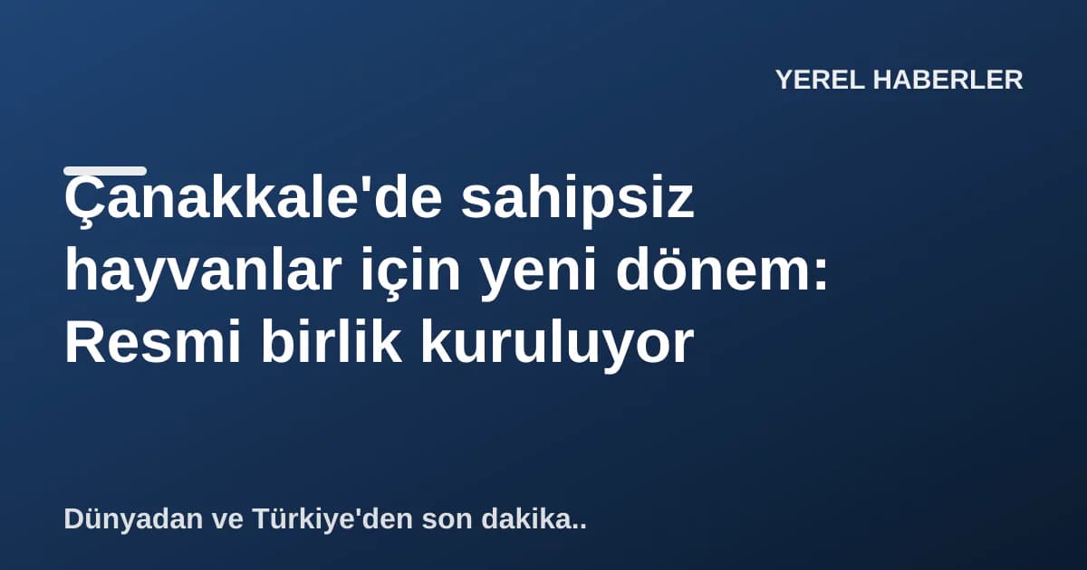 Çanakkale'de sahipsiz hayvanlar için yeni dönem: Resmi birlik kuruluyor Çanakkale'de sahipsiz hayvanlar için yeni dönem: Resmi birlik kuruluyor
