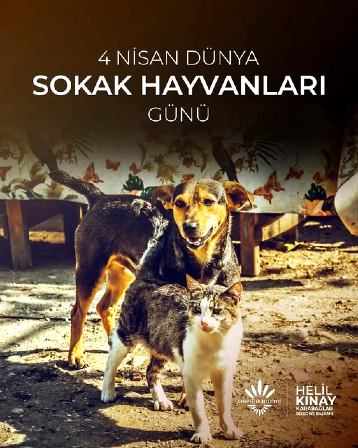 İzmir Karabağlar'da 2. El Pazarı: Kullanılmayan Eşyalar Yeniden Değer Buluyor