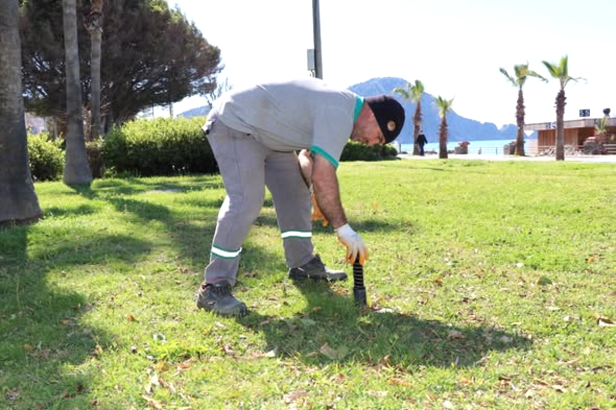 Alanya'da Bahar Hazırlığı: Park ve Bahçeler Ekipleri Çalışıyor