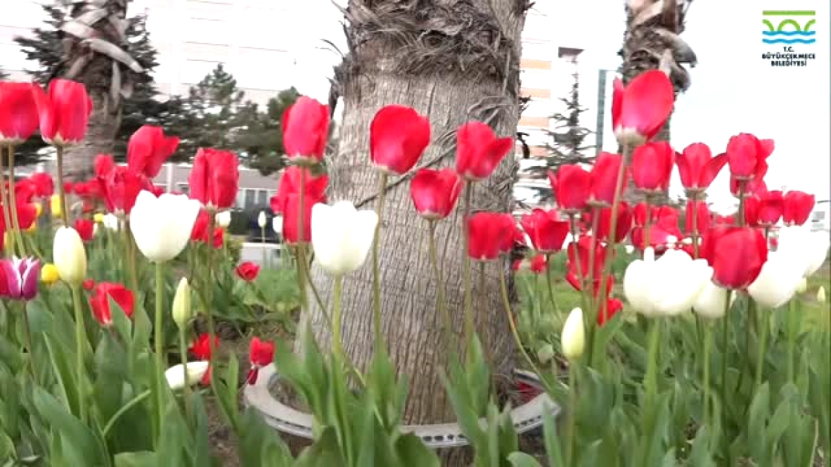Büyükçekmece Bahara 124 Metrekare Yeşille Hazır
